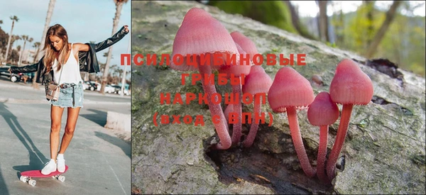 тгк Алзамай