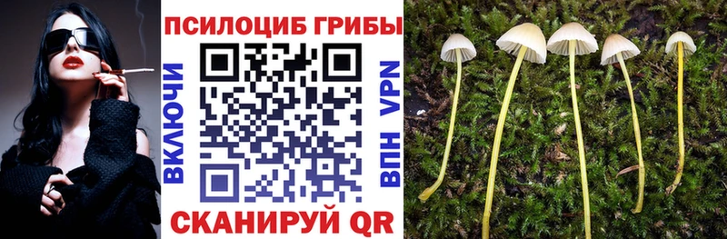 Псилоцибиновые грибы Cubensis  купить наркотик  Георгиевск 