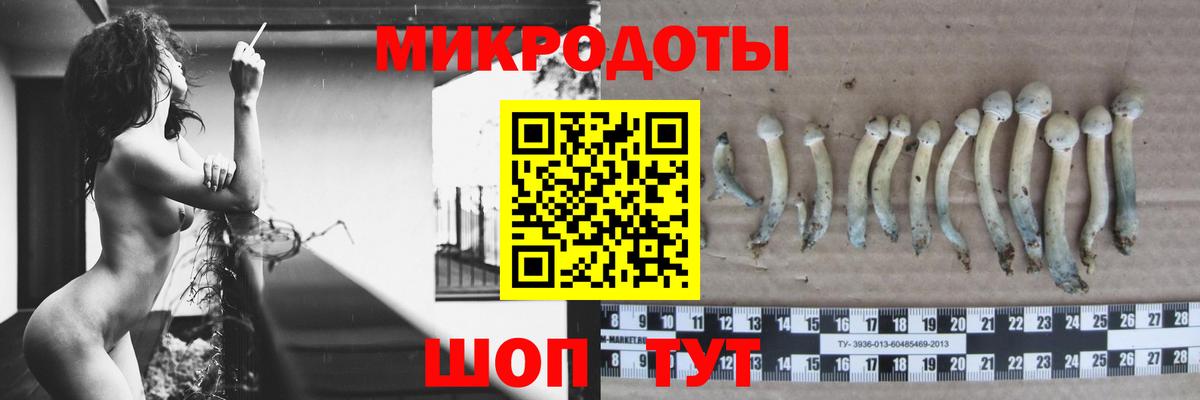 Георгиевск  закладки  Вход с VPN  Псилоцибиновые грибы ЛСД 