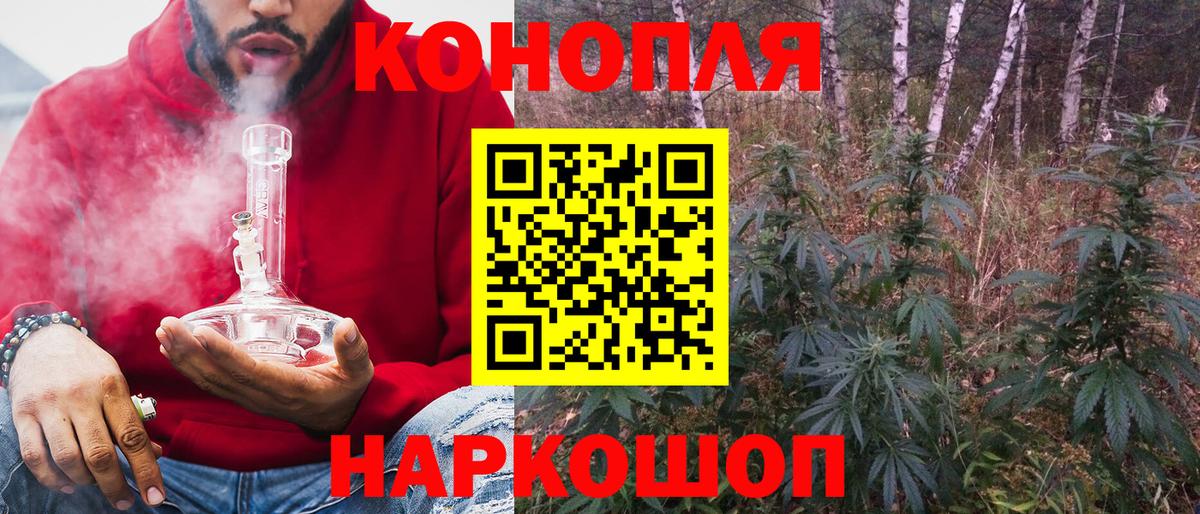 Бошки марихуана MAZAR Георгиевск